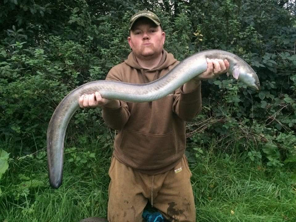 60 Steve Frapwell Eel Landing Net